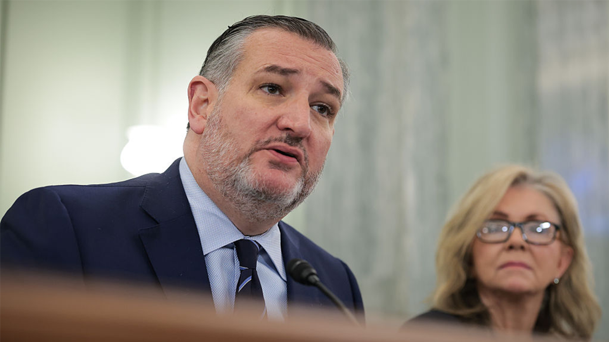 Sens. Ted Cruz and Marsha Blackburn