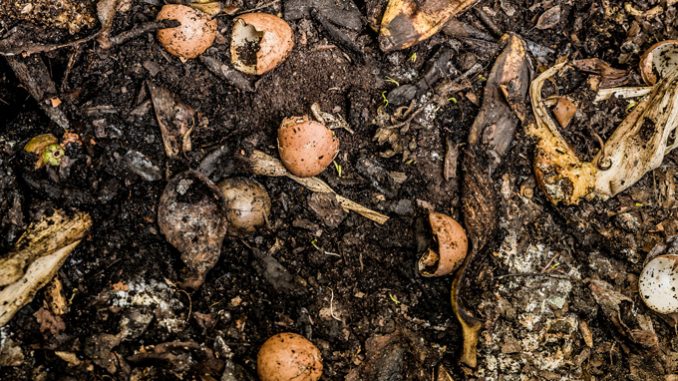 compost_gw