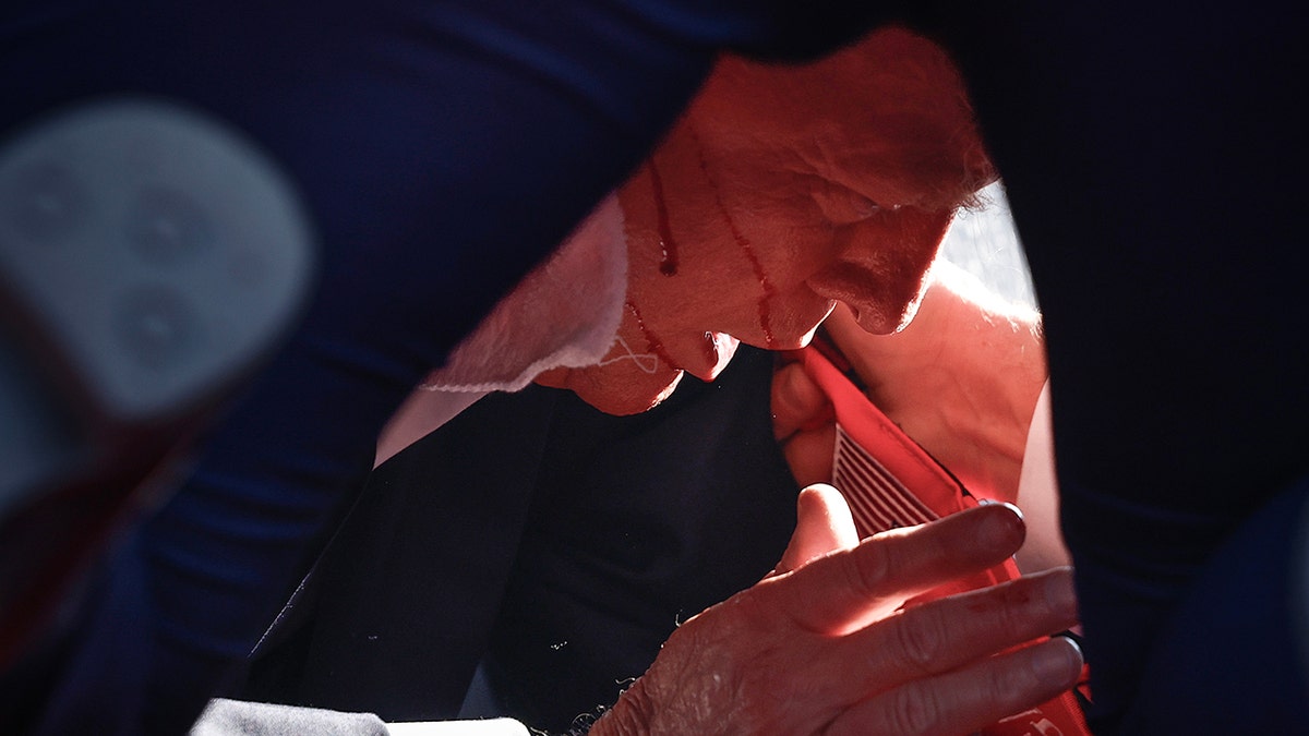 Donald Trump lies down on the ground with a drip of blood running down his cheek