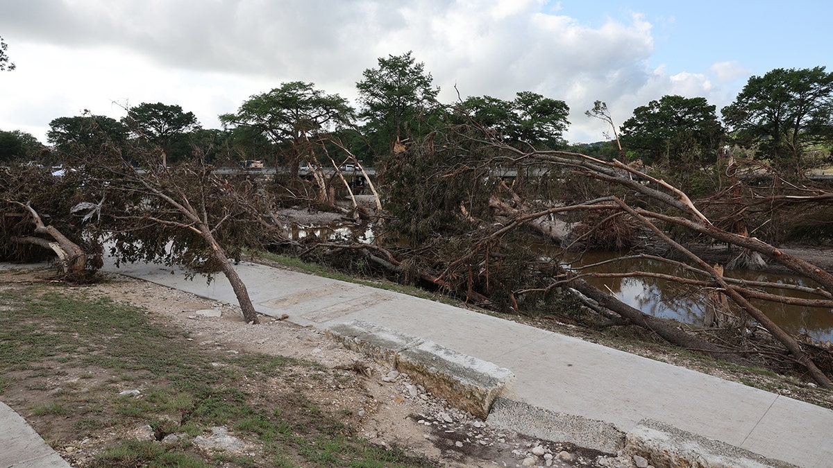 Trees leaning from flood damage in Texas.
