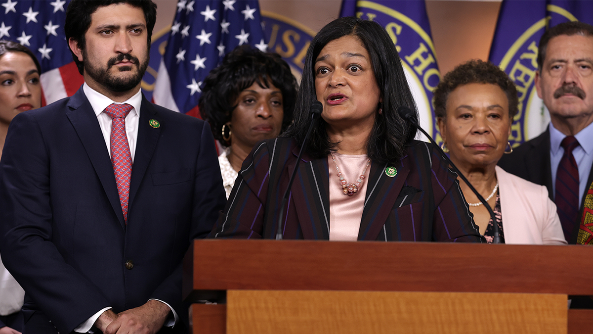 Meanwhile, Rep. Pramila Jayapal, D-Wash., accused ICE of acting "like a terrorist force" in June.