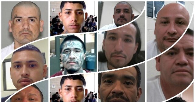 350 Criminal Alien Gang Members with 1,400 Deportations, 1,700 Crimes