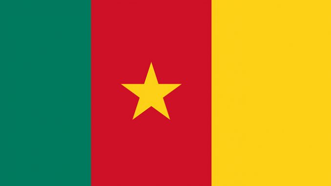 cameroonflag_wiki