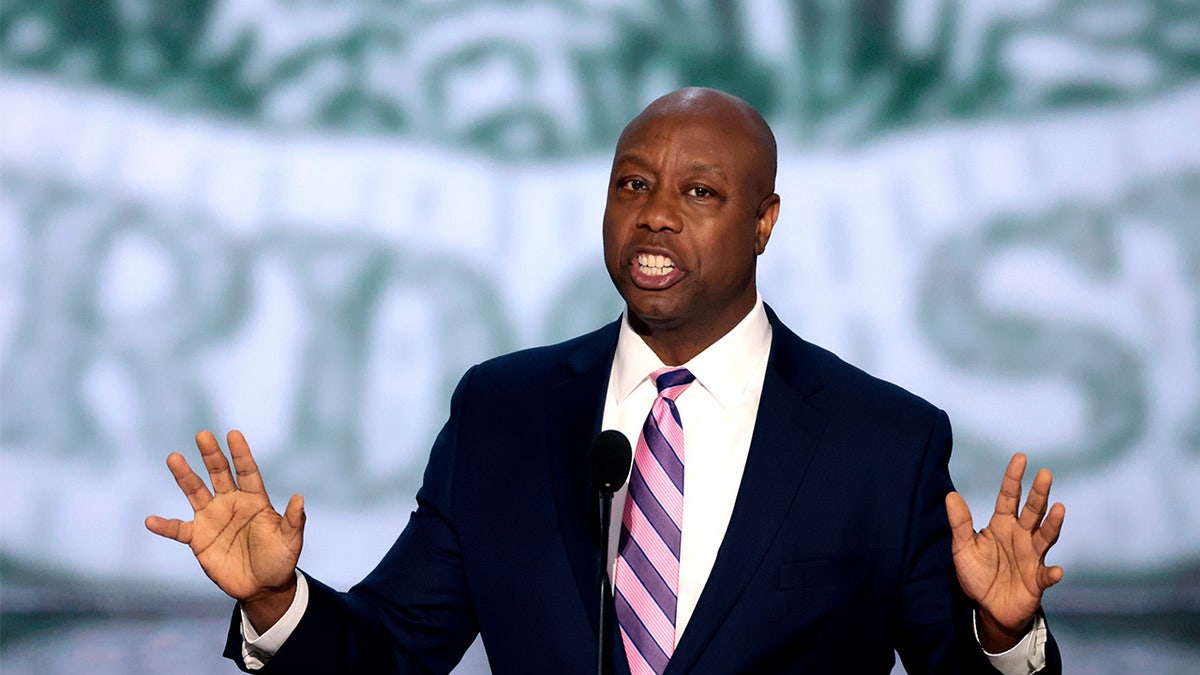 Sen. Tim Scott of South Carolina is chair of the National Republican Senatorial Committee