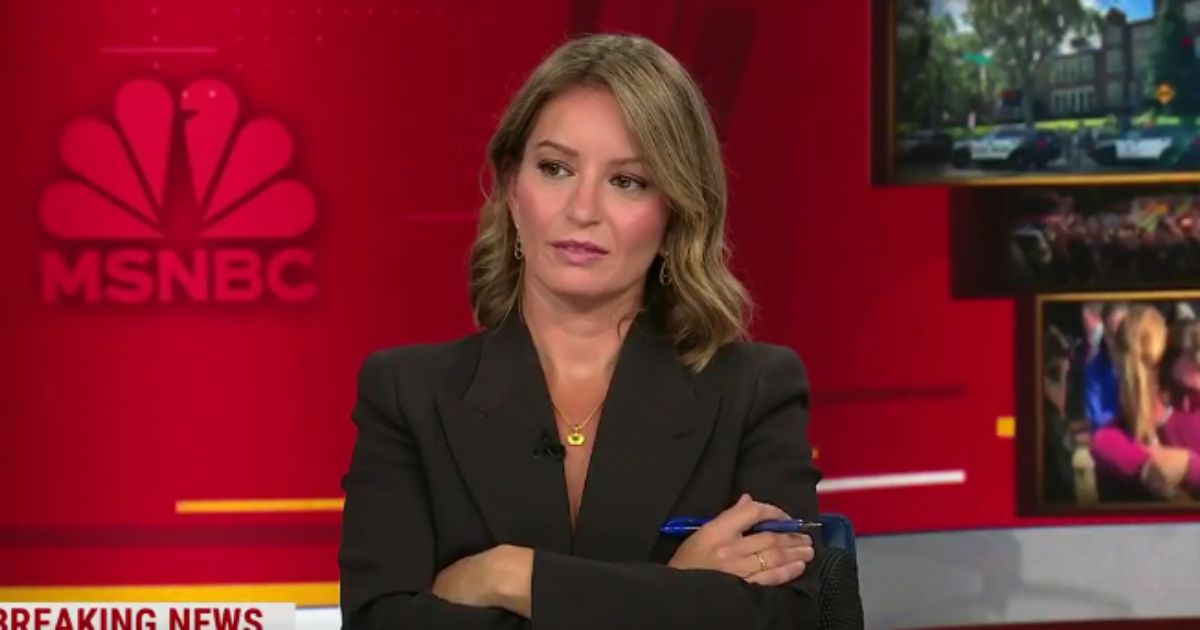 MSNBC Panel Talks Banning All Firearms After Trans Shooter Targets Catholic School: 'Do What Australia Did' | The Gateway Pundit
