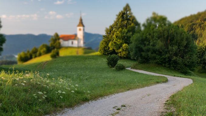 church_trees_scenery_mr