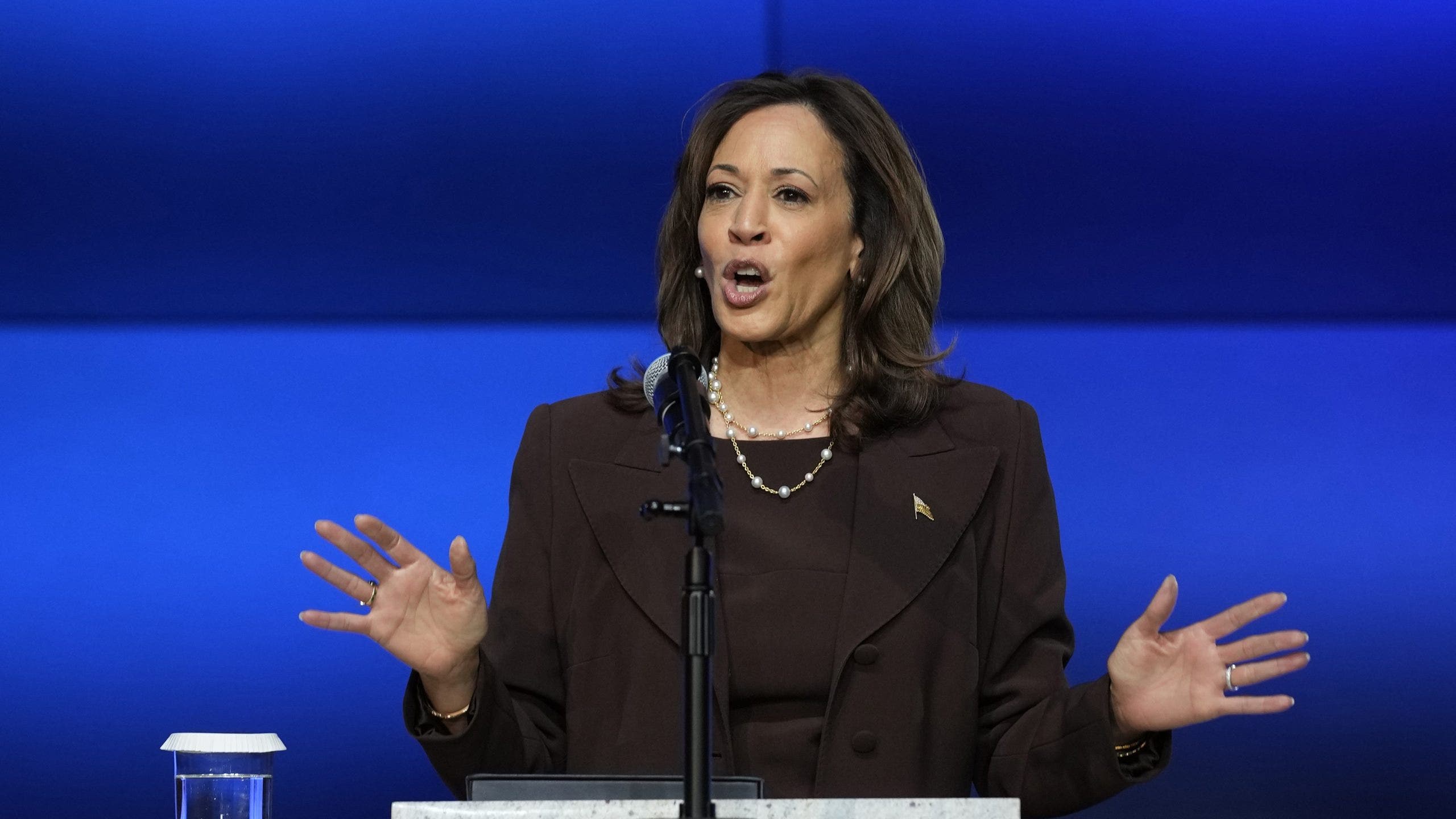 LAPD provided security for Harris after Trump removed Secret Service detail