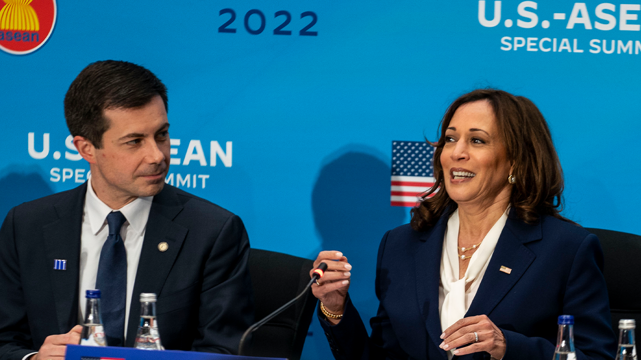 DNC vice chair weighs in on Kamala Harris' book recapping 2024