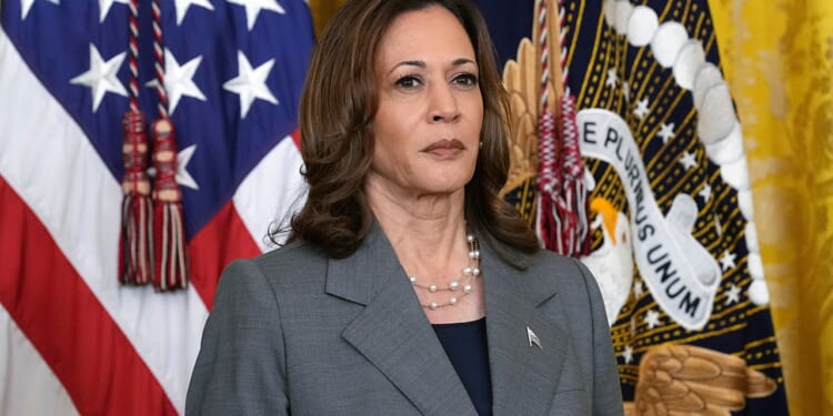 Harris suggests Biden's 'perceived blank check' for Netanyahu hurt her bid