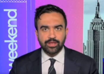 Zohran Mamdani Wants to Spend $100 Million in NYC Tax Dollars on Increased Services for Illegal Aliens (VIDEO) | The Gateway Pundit