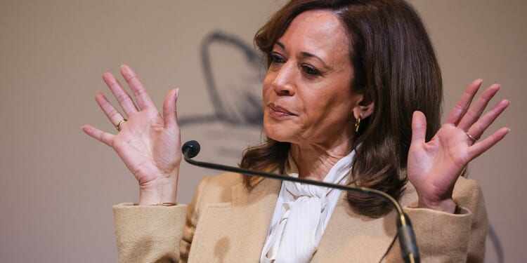 Harris unloads on Biden's staff for 'adding fuel' to attacks against her: book