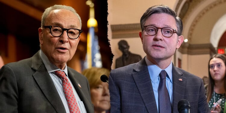 Mike Johnson uses Dems' own words against them in government shutdown warning