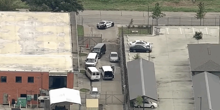 Apple, Google Refuse To Suspend ICE-Tracking Apps Used By Dallas Shooter