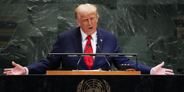 UN Ambassador Mike Waltz calls Trump speech mishaps 'unacceptable'