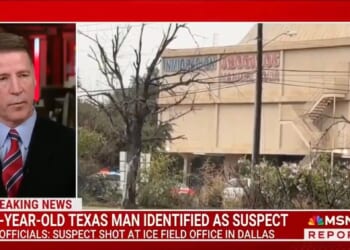 MSNBC Analyst Threatens Trump: The Violence Will Continue Until You Do What We Want