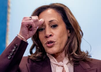 WATCH: Kamala Harris Tells Anti-Israel Hecklers To Get Off Her Case: 'I'm Not President Right Now. There's Nothing I Can Do About It.'