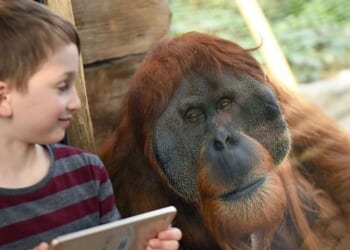 Hello, darkness, my old friend: How to get your body's circadian rhythms back on the beat