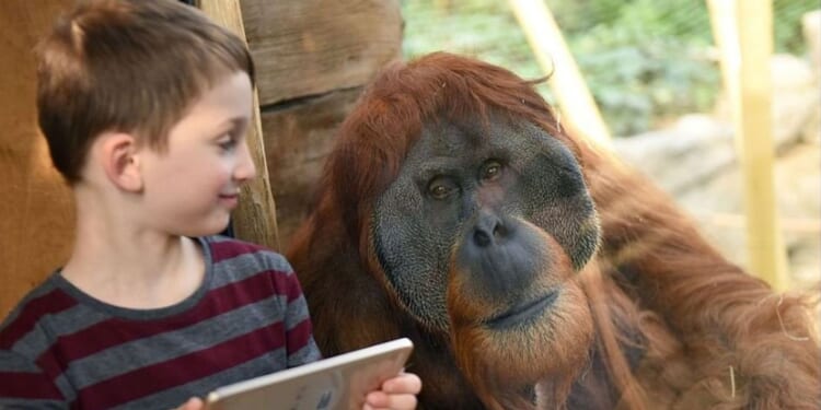 Hello, darkness, my old friend: How to get your body's circadian rhythms back on the beat