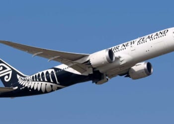 Airlines and banks admit net-zero promises were pure fantasy