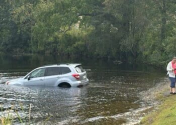 Car Rolls into Lake After Massachusetts Karen Forgets to Put Car in Park When She Gets Out to Heckle ICE Agents Arresting Illegal | The Gateway Pundit