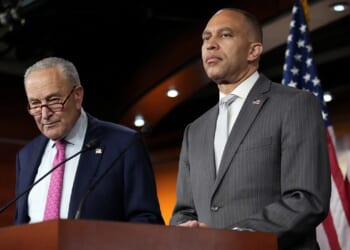 Reporter's Notebook: Government shutdown fight reveals deep Democratic party divisions