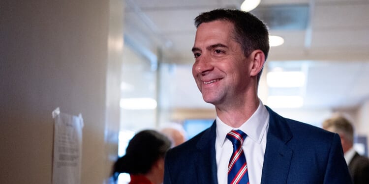 Tom Cotton backs Ashley Hinson with new ad for 2026 Iowa Senate race
