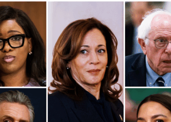 Americans Greatly Distrust Democrats' Mass Migration Agenda