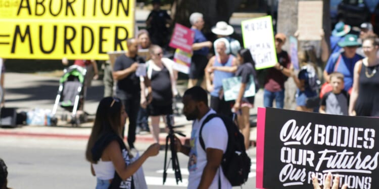 Can Pope Leo Bridge the Divide Between Social Justice and Prolife Catholics?