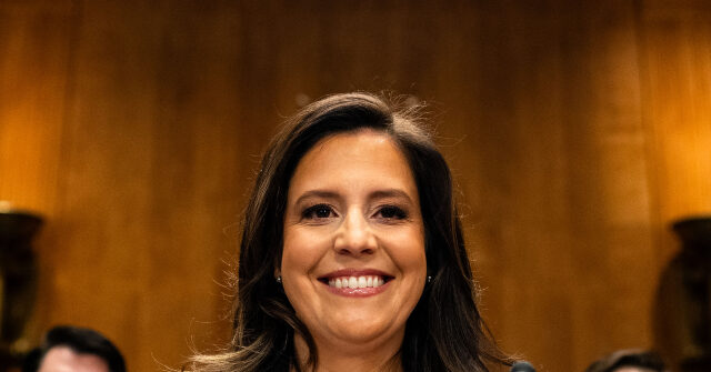 Elise Stefanik Introduces Bill that Targets 'Woke Accreditation Elites'