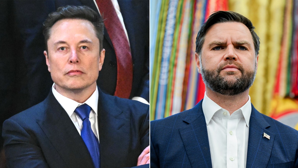 Left: Elon Musk; Right: JD Vance