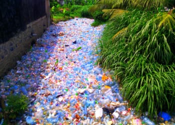 Entrepreneurs, Not Government, Will Solve the Pollution Problems — No Tax Increases, No Government Restrictions | The Gateway Pundit