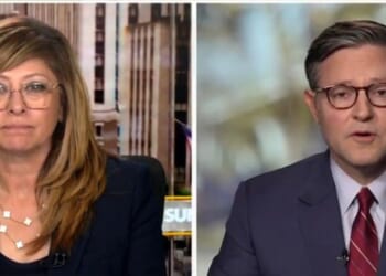 House Speaker Mike Johnson on Preventing Shutdown - “We are Just Keeping the Doors Open, but They Want to Shut It” (VIDEO) | The Gateway Pundit