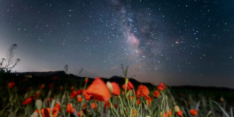 Love Can Extend to Our Neighbors of the Future