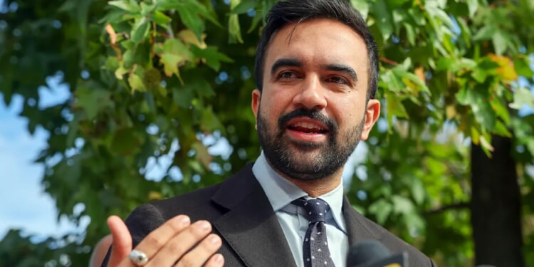 Mamdani holds 20-point lead in new public opinion poll