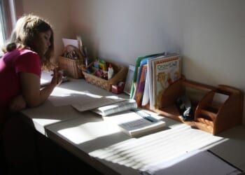 New Jersey Democrats Want to Force DEI and Wellness Checks on Homeschooled Children | The Gateway Pundit