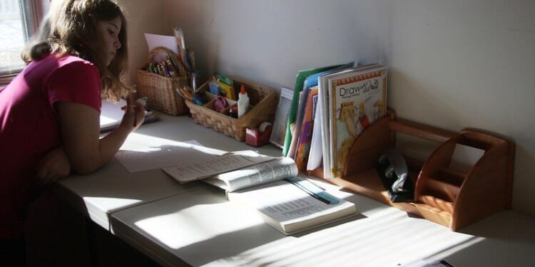 New Jersey Democrats Want to Force DEI and Wellness Checks on Homeschooled Children | The Gateway Pundit