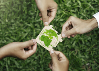 Four Harmonious Friends