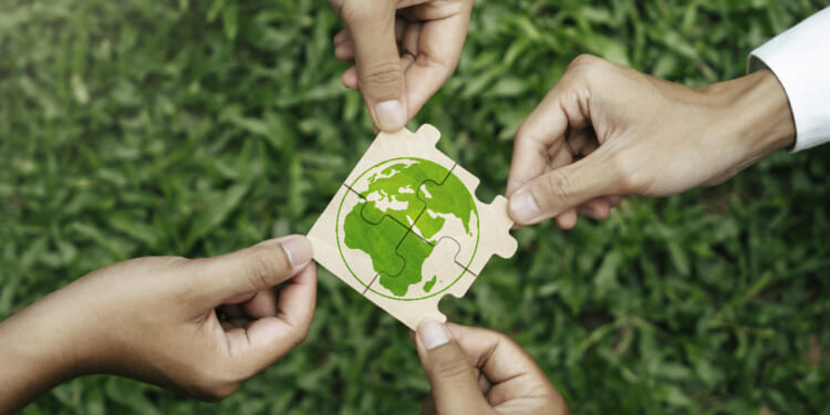 Four Harmonious Friends