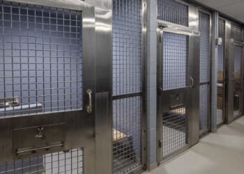 This Decarceration Agenda Would Spell Disaster for New York City