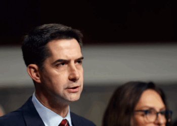 Tom Cotton Drafts Bill to Shrink H-1B Visa Program