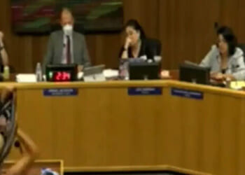 Woman Strips Down to Bikini at School Board Meeting to Protest Trans Policy