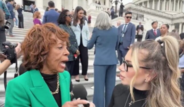 Maxine Waters Gets TESTY When Asked if Democrats Are Shutting Down Government Over Healthcare for Illegals (VIDEO) | The Gateway Pundit