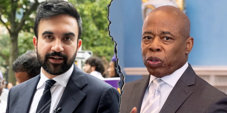 Republicans warn of 'chaos' as socialist Mamdani leads NYC mayor race