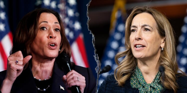 Mikie Sherrill faces Kamala Harris comparisons in New Jersey race