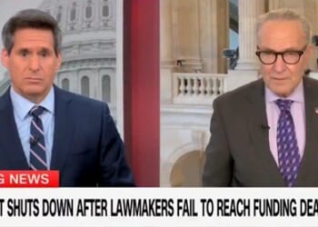 WATCH: Chuck Schumer Left HUMILIATED on CNN When Reporter Confronts Him With a Good Question About the Government Shutdown | The Gateway Pundit