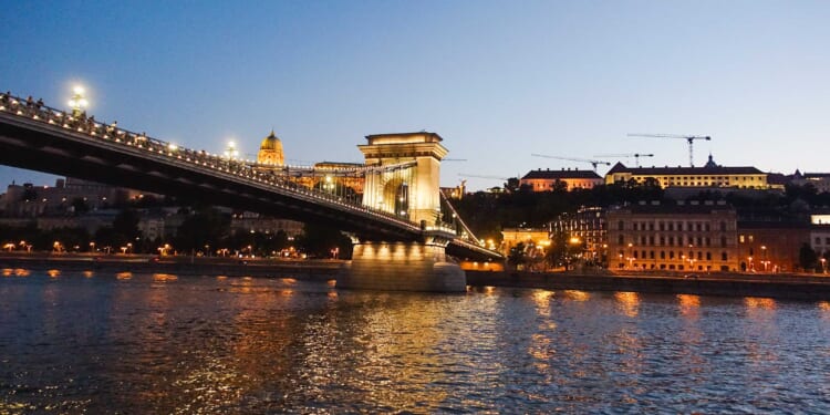 Buda and Its Pests
