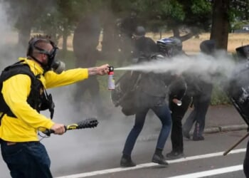 Trump names Antifa. The establishment still pretends it doesn’t exist.