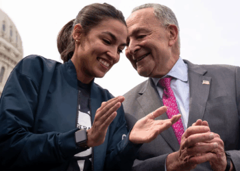 Republicans blame Schumer for shutting down government over AOC primary fears