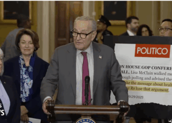 Democrats Are Holding The Government Hostage To Get Taxpayer-Funded Health Care For Illegals