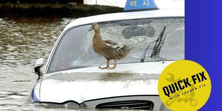 Quick Fix: Is a flood-damaged car worth the savings?